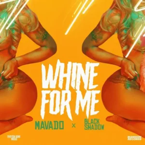 Mavado - Whine for Me Acapella