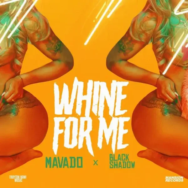 Mavado - Whine for Me Acapella