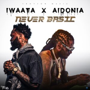 Iwataa Ft Aidonia - Never Basic Acapella