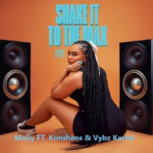 Moliy FT. Konshens & Vybz Kartel - Shake It To The Max [Remix]